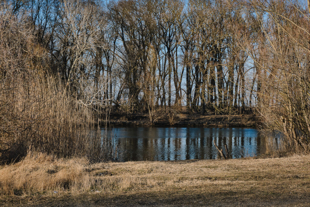 The Dniester River at Tudora, near the southeast border. On the other side, Ukraine. The same river, further north, marks the border between Moldova and the Russophile and unrecognized separatist state of Transnistria, where entry to journalists and photographer is forbidden since the conflict started. Tudora, Moldova, 19 March 2022.